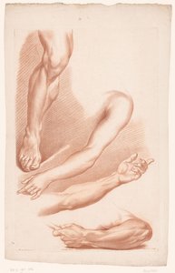 脚と腕のさまざまなビュー 自然からの描画の原則、パート 7 (シリーズ タイトル) VIIe Cahier de Principes du Dessin d