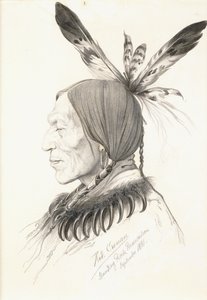Heu-Topa、Four HornsまたはJagoo、ストーリーテラー、HunkpapaSiouxのチーフ 作： Rudolf Cronau