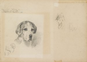 犬の肖像画: ウィンザー、1877 年 作： Rudolf Wimmer