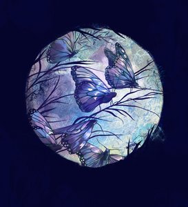 2016年夏の夜（ 作： Runa Anastasiya Rudaya