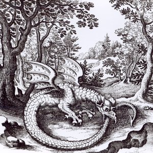 森の中のドラゴン、バジルバレンタイン作「Musaeum Hermeticum Reformatum」（1678年）