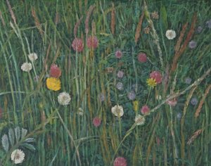 Machairの植物、2008年 作： Ruth Addinall