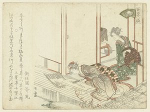 野菜を切る女