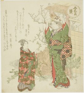 「五色の内」シリーズより黄（き） 作： Ryuryukyo Shinsai