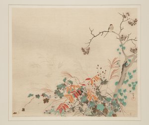 植物の上の鷹（カラー木版画 作： Sakai Hoitsu