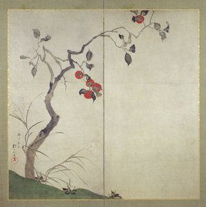 柿の木（インク、紙の上の色と金） 作： Sakai Hoitsu