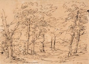 前景に木々、背景に山々のある風景 作： サルヴァトールローザ