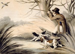 1809年頃、H.メルケによって彫られた「シューティング・ダック」(カラーリトグラフ) 作： Samuel (after) Howitt