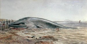 ロングリディ湾のアベラディ・ホエール号 作： Samuel Bough