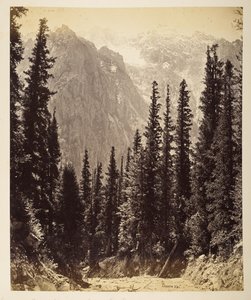 ワンガ渓谷からの雪の高さ 作： Samuel Bourne