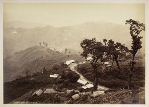 ティーンダリ バザール、ダージリン、  「ダージリンの景色」より、  1860年 - 1880年    (白黒写真) 作： Samuel Bourne