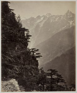 無題 [丘の中腹と山], c. 1865年。 作： Samuel Bourne
