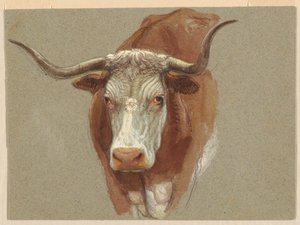 牛または牛の頭 作： Samuel Colman