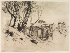 リビエラのオリーブの木c。 1875。 作： Samuel Colman