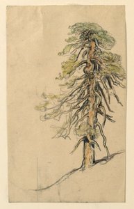 丘の中腹の木の研究 作： Samuel Colman