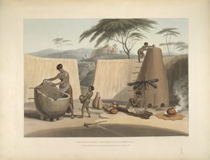 陶器を製造するブシュアナの女性、「アフリカの風景と動物を説明する活版印刷を施したプレートのコレクション」のイラスト 作： Samuel Daniell
