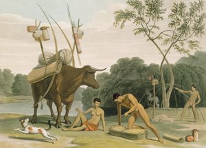削除の準備をしているコラホッテントット、「アフリカの風景と動物」からプレート20、アーティストが刻印、1805（アクアチント） 作： Samuel Daniell