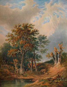 風景、1847 作： Samuel David Colkett