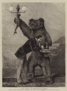 マールボロハウスでクマのトロフィー 作： Samuel Edmund Waller