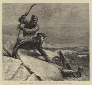 北極圏のアザラシを殺すアザラシとアザラシ、ハンター 作： Samuel Edmund Waller