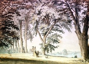 ハマースミスの反対側のテムズ川沿いの木 作： Samuel Hieronymous Grimm