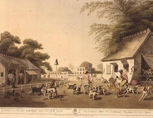 サミュエル・ハウエット（1756-1822）の『オリエンタル・フィールド・スポーツ』より「犬を連れ出す犬飼い」（エドワード・オルム社刊 作： Samuel Howett