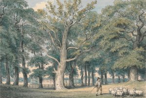 羊飼いと羊のいる公園の風景 作： Samuel Howitt