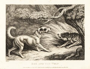 首輪をつけた飼い犬が、飢えたオオカミに食べ物を差し出します。 1811年（エッチング） 作： Samuel Howitt