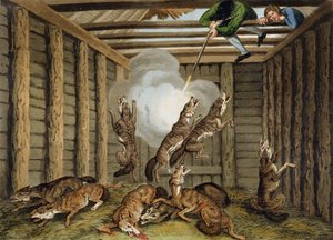 American Anecdote：Shooting the Wolfes、engraved by Matthew Dubourg（fl.1785-1820）and the artist、published by Edward Orme、1813