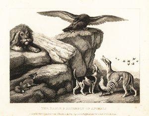 動物の集まりに忠告する木星の鳥。 1811年（エッチング）