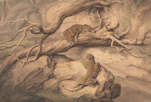  作： Samuel Howitt