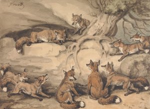 木の周りに集まった9匹のキツネ - イソップ寓話「尾を失ったキツネ」の挿絵 作： サミュエル・ハウィット