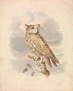 Scops Owl   1437913   ja       japanese Successfully Translated  Original: The Capuchin Monastery at Cava (Salerno) 1838 (oil on canvas) Translat: The Capuchin Monastery at Cava (Salerno) 1838 (oil on canvas) 1440495 ja japanese Successfully Translated Ori