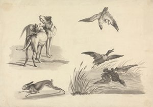 ハウンド、ノウサギ、ハヤブサ、アヒルの研究シート 作： Samuel Howitt
