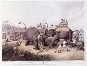 デッドタイガー;タイガーの死、1807年