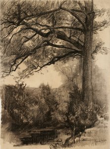 本命ギフト 大きな木のある風景、1884年（バフレイド紙に木炭） 絵画
