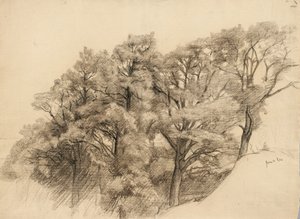 木のある風景、1884年（バフレイド紙に木炭） 作： Samuel Isham