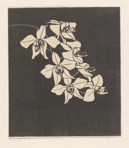 ラン 作： Samuel Jessurun de Mesquita (signed by artist)