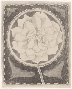 ロース 作： Samuel Jessurun de Mesquita (signed by artist)