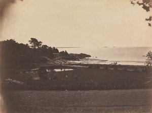 風景、プライドの交差点、カリフォルニア州。 1856年。 作： Samuel Masury