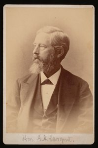 アーロン・オーガスタス・サージェントの肖像、1827～1887年、1876～1880年。
