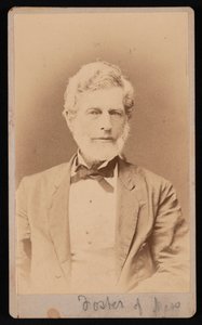 マサチューセッツ州のフォスター氏の肖像画、1876 年から 1880 年の間。