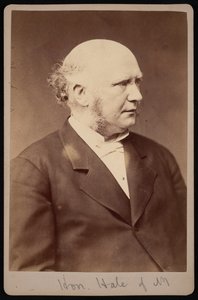 ロバート・サフォード・ヘイルの肖像、1822～1881年、1881年以前。