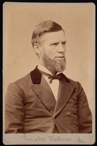 ウィリアム・アンドリュー・ウォレスの肖像 1827～1896年、1876～1880年。 作： Samuel Montague Fassett