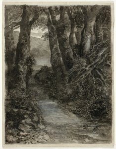 森林研究 作： Samuel Palmer