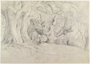 古代の木々、ラリングストーンパーク、1828年（紙にグラファイト） 作： Samuel Palmer