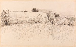 納屋のあるトウモロコシ畑、ショアハム 作： Samuel Palmer