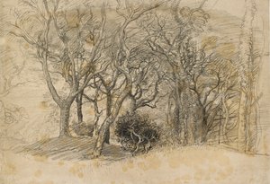 木の研究、クロベリー公園、1834 作： Samuel Palmer