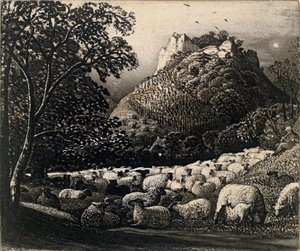 群れと星、c1831-1832 作： Samuel Palmer