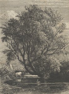 柳、1850年。 作： Samuel Palmer